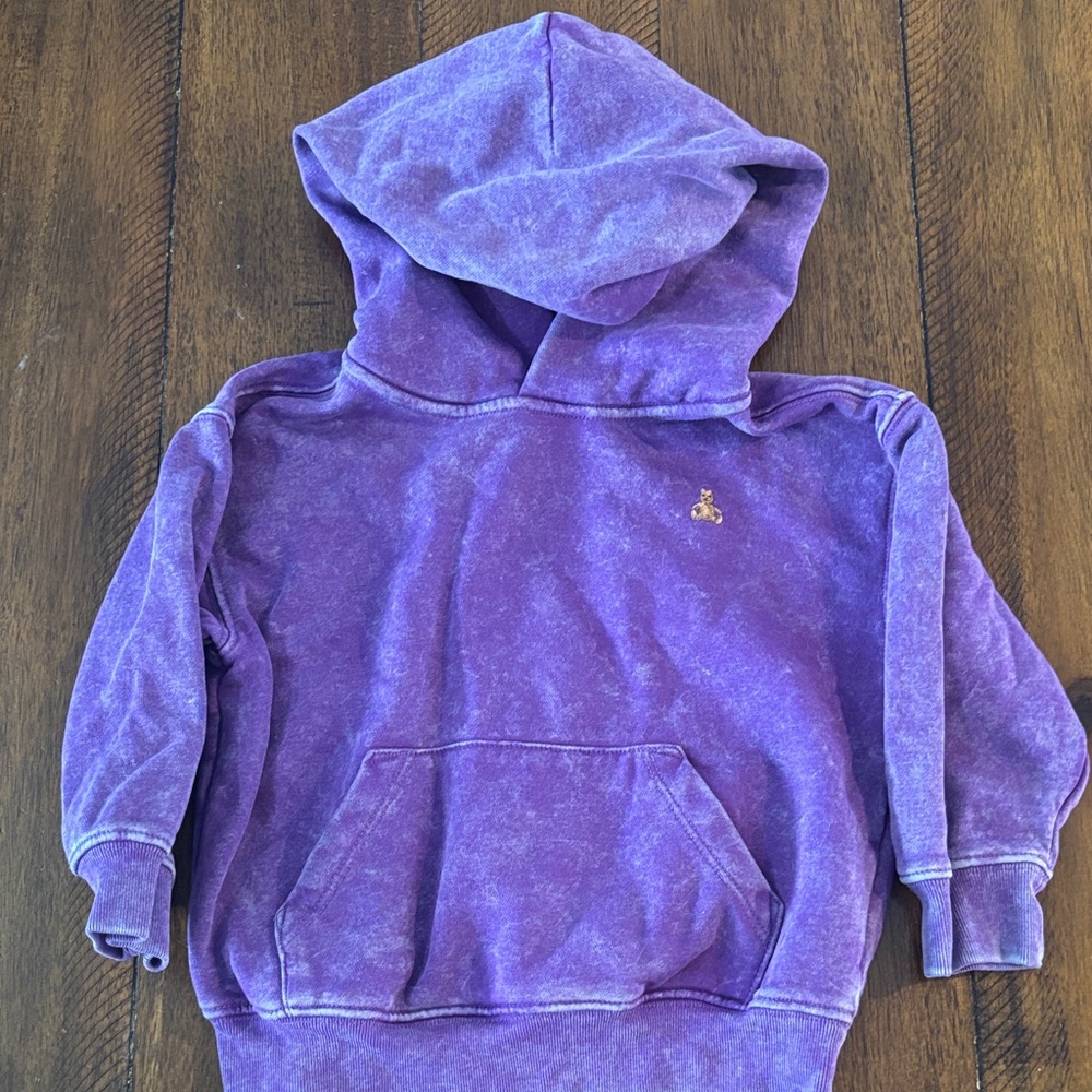 GAP Kids Purple Hoodie